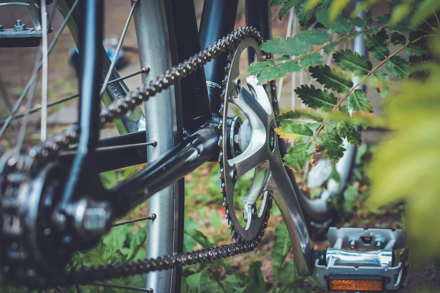 Bike Chain