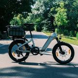 miniwave-rear-basket-720-540-03.webp__PID:cece304f-2374-4396-88c7-3f937be42628