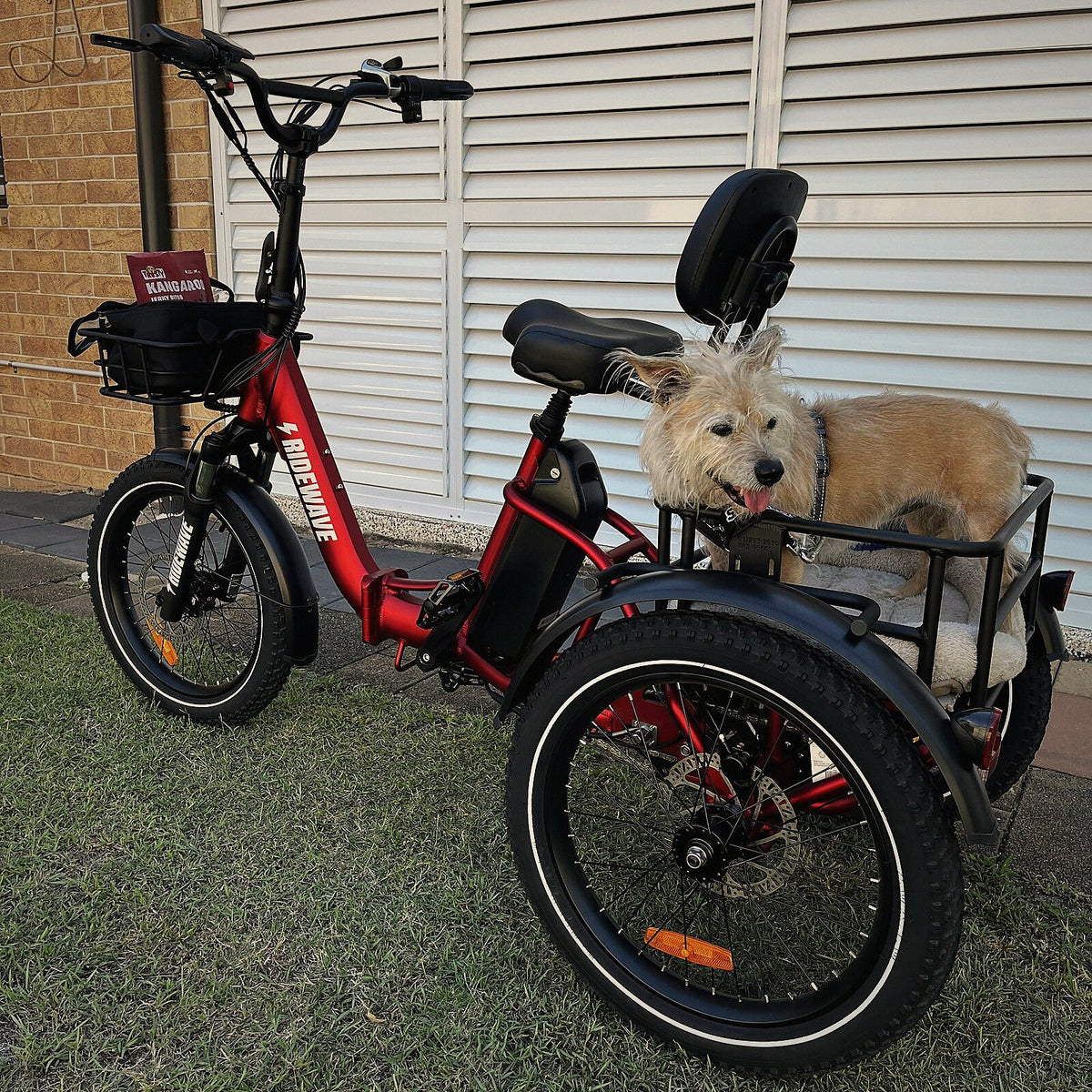 A red Wallaby electric trike on the lawn with a small dog in the rear basket