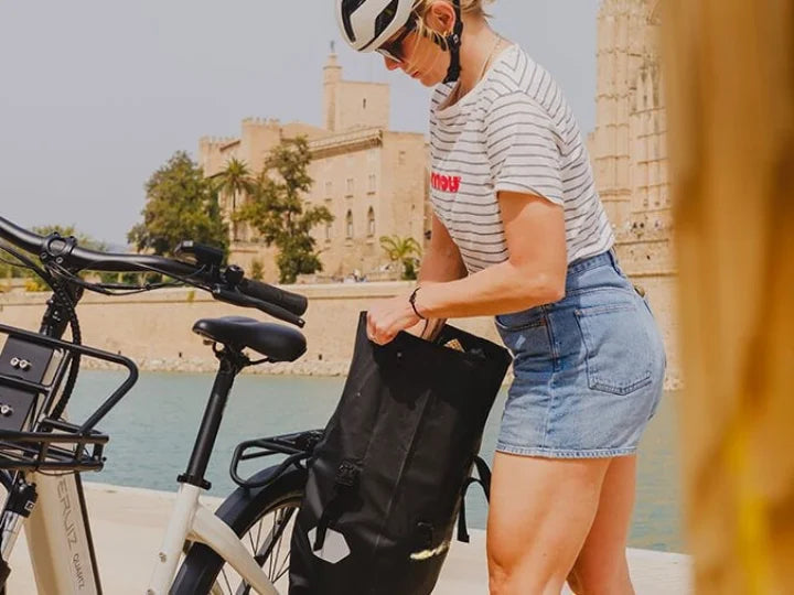 pannier-bag-720-540-01.webp__PID:5b7f9b92-283d-4086-982d-e4e08bd7e9af