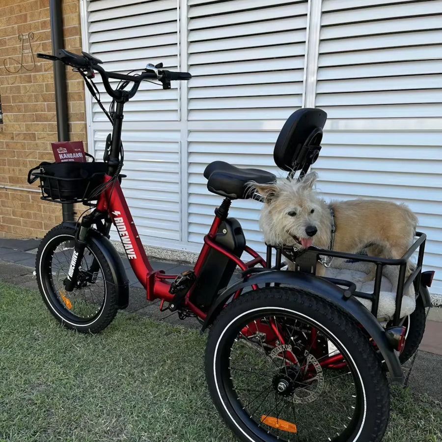 Ridewave customer with their electric trike