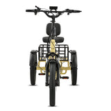 Ridewave Wallaby cream electric trike front view with upright handlebar and comfort seat #color_cream